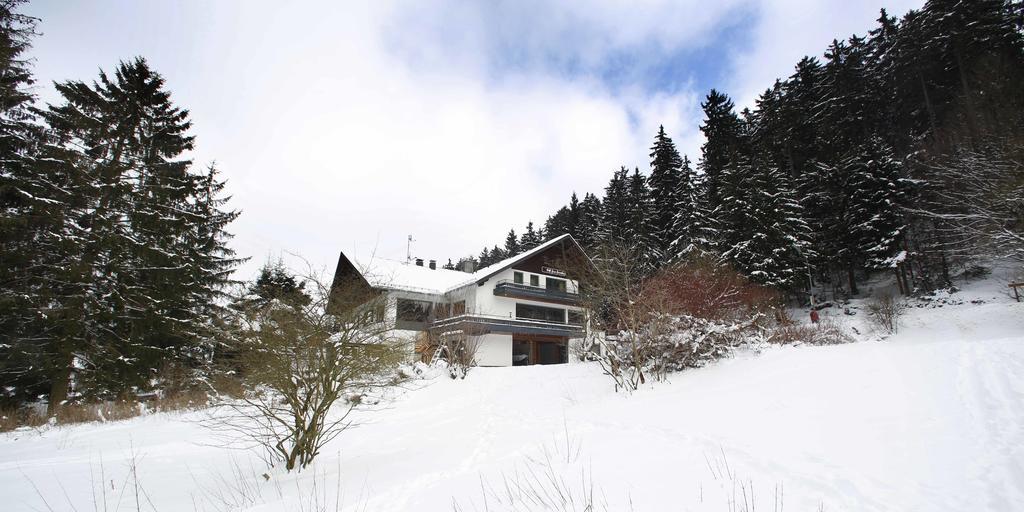 Hotel-Pension Zum Paradies Willingen  Eksteriør billede