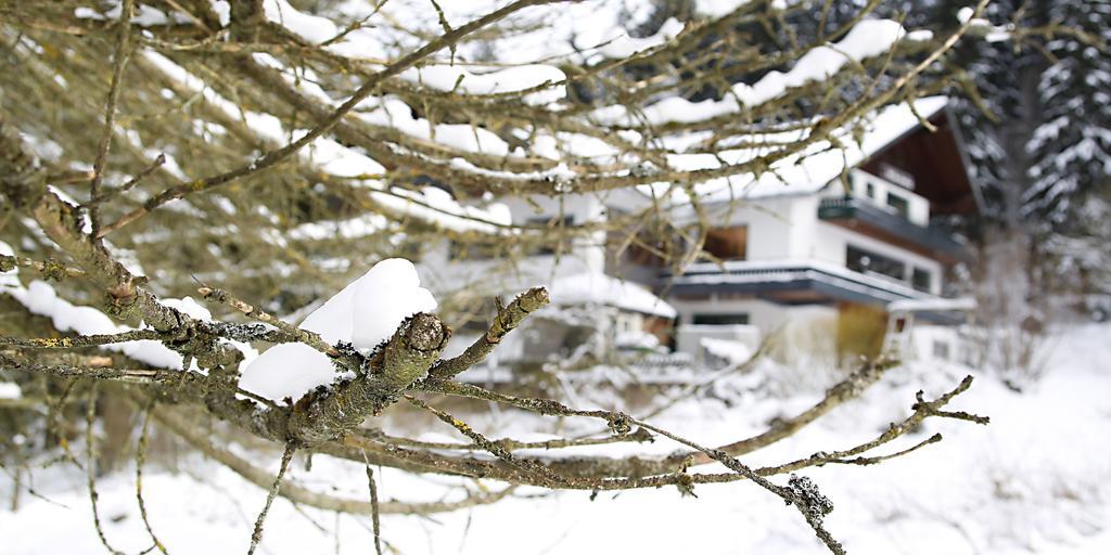 Hotel-Pension Zum Paradies Willingen  Eksteriør billede