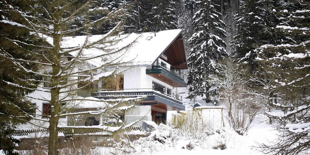 Hotel-Pension Zum Paradies Willingen  Eksteriør billede