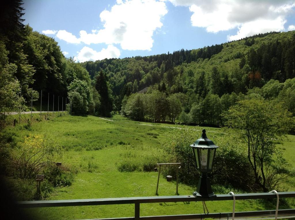 Hotel-Pension Zum Paradies Willingen  Eksteriør billede