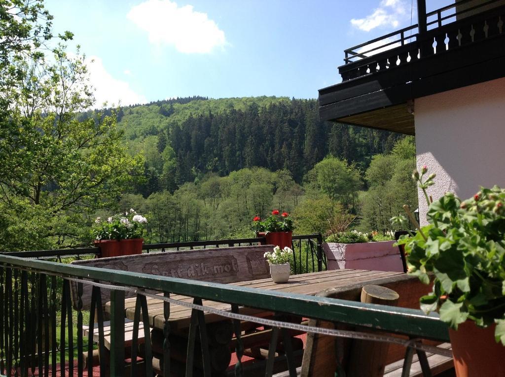 Hotel-Pension Zum Paradies Willingen  Eksteriør billede