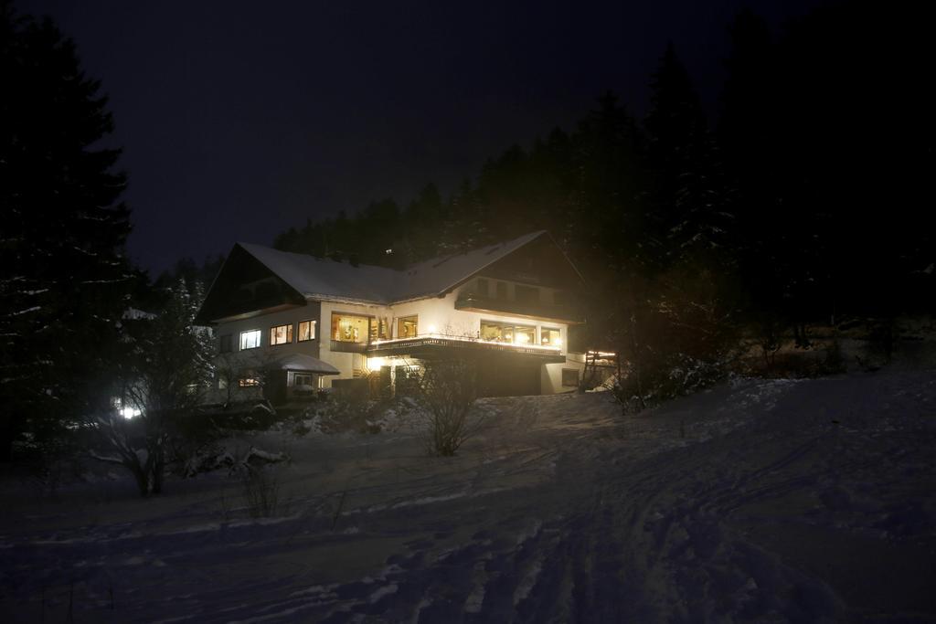 Hotel-Pension Zum Paradies Willingen  Eksteriør billede